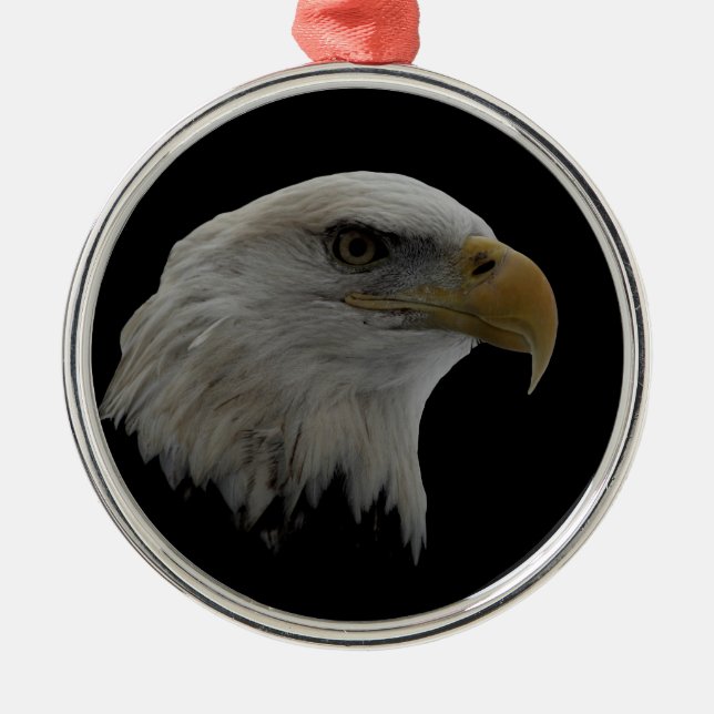 American Eagle Leadership Motivational Metal Tree Decoration (Front)