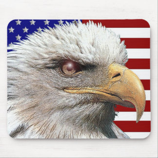American eagle mouse pad