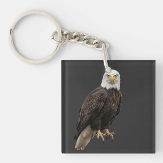American eagle outfit key ring