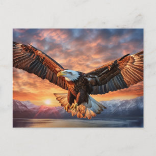 American Eagle Postcard