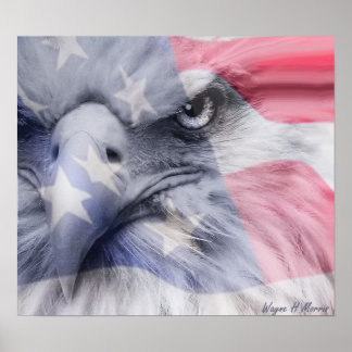 American Eagle Poster
