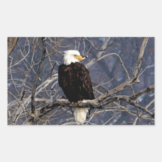 American Eagle Rectangular Sticker