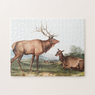 American Elk (Cervus Canadensis) Illustration Jigsaw Puzzle