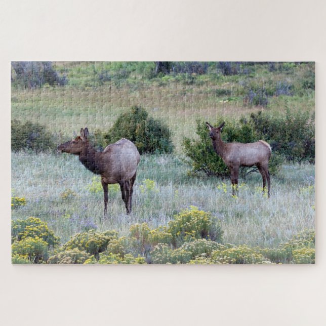 American Elk | Colorado Jigsaw Puzzle (Horizontal)