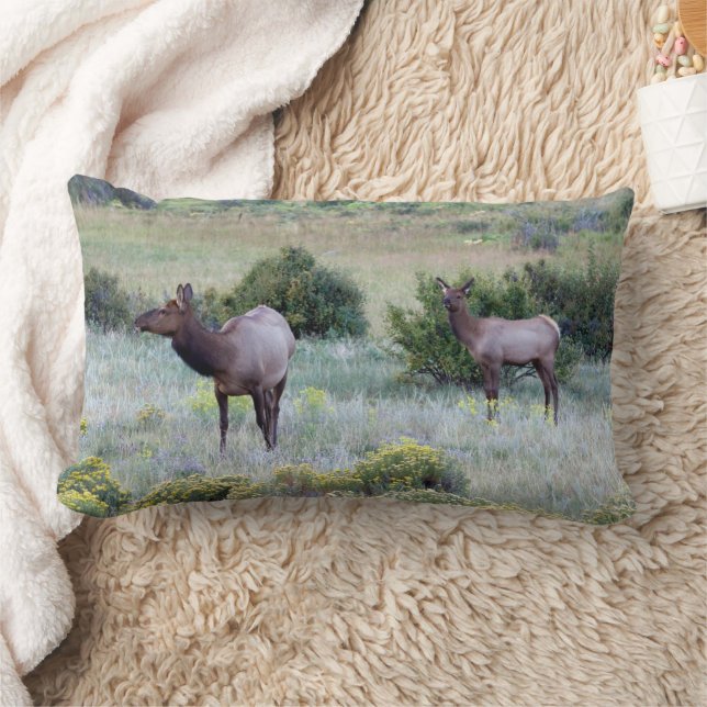 American Elk | Colorado Lumbar Cushion (Blanket)