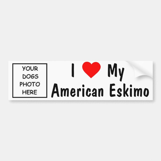 American Eskimo Bumper Sticker (Front)