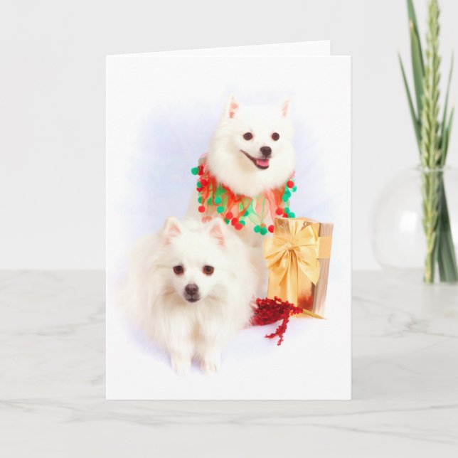 American Eskimo Christmas Card (Front)