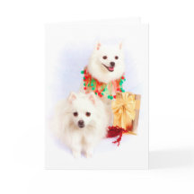 American Eskimo Christmas Card