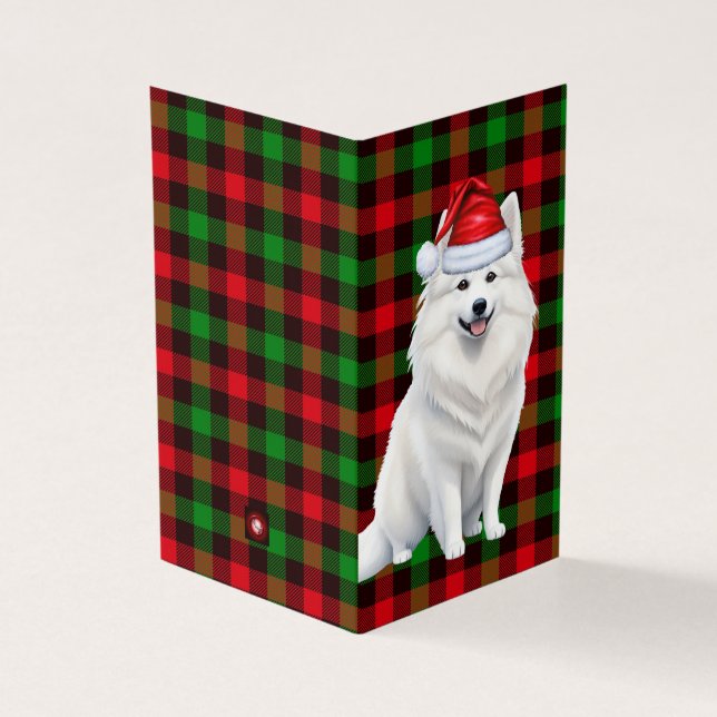 American Eskimo Christmas Dog with Holiday Plaid (Outside)