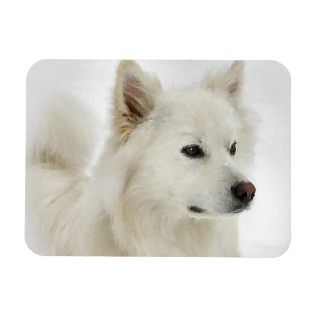 American Eskimo Dog Art Magnet (Horizontal)
