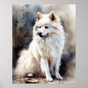 American Eskimo Dog Art Print Poster