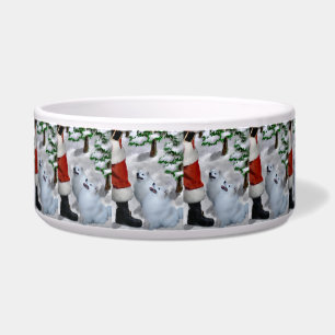 American Eskimo Dog Christmas 