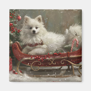 American Eskimo Dog Christmas Festive  Magnet
