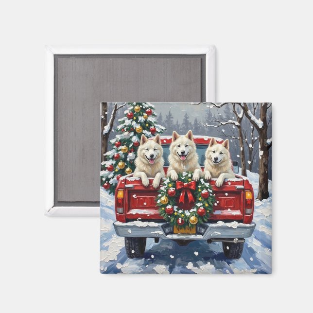 American Eskimo Dog Christmas Red Truck Holiday Magnet (Front/Back)