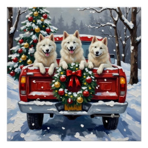 American Eskimo Dog Christmas Red Truck Holiday Poster