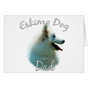 American Eskimo Dog Dad 2