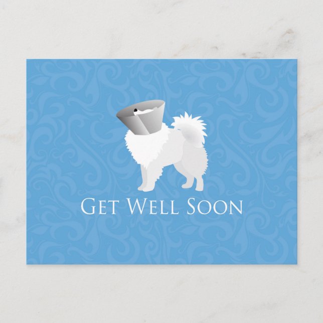 American Eskimo Dog Get Well Soon Design Postcard (Front)