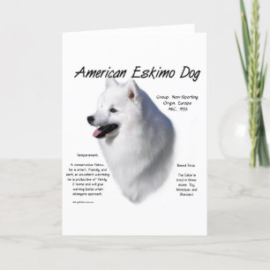 American Eskimo Dog History; All About Eskies Holiday Card