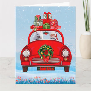 American Eskimo Dog In Car With Santa Clause  Card