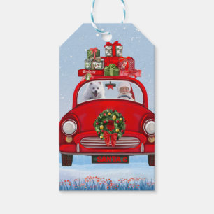 American Eskimo Dog In Car With Santa Clause Gift Tags