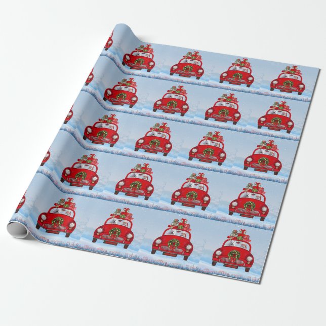 American Eskimo Dog In Car With Santa Clause  Wrapping Paper (Unrolled)