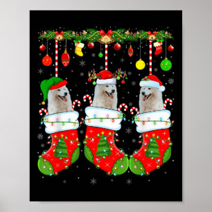 American Eskimo Dog In Christmas Socks Funny Dog L Poster