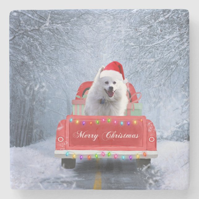 American Eskimo Dog in Snow sitting in Christmas Stone Coaster (Front)