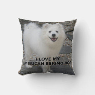 American_Eskimo_Dog_love w pic Cushion