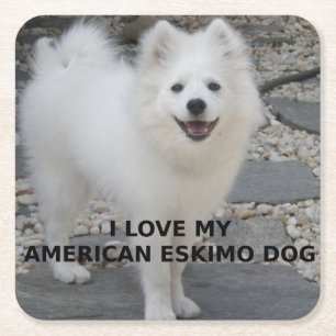 American_Eskimo_Dog_love w pic Square Paper Coaster