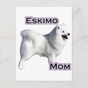 American Eskimo Dog Mum 4 Postcard