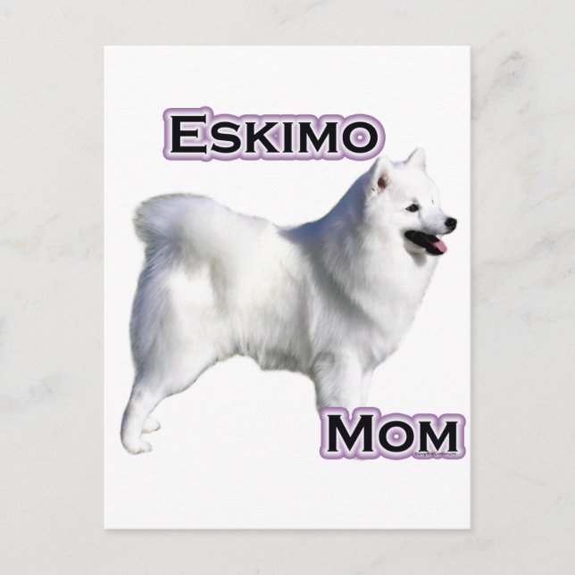American Eskimo Dog Mum 4 Postcard (Front)