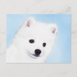 American Eskimo Dog Painting - Original Dog Art Postcard