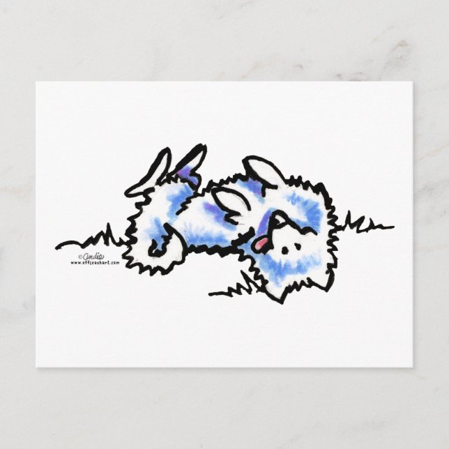 American Eskimo Dog Play Dead Postcard (Front)