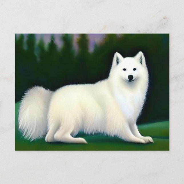 American Eskimo Dog Postcard (Front)