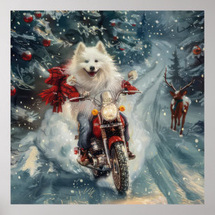 American Eskimo Dog Riding Motorcycle Christmas  Poster