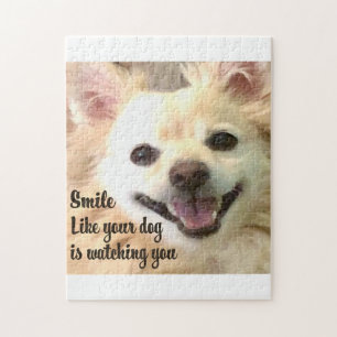 American Eskimo dog smile Jigsaw Puzzle