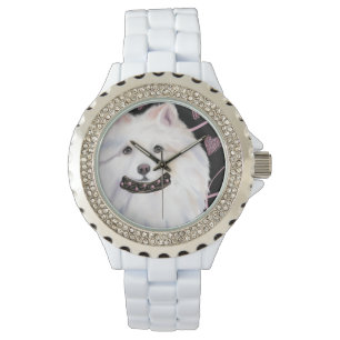 American Eskimo Dog Watch