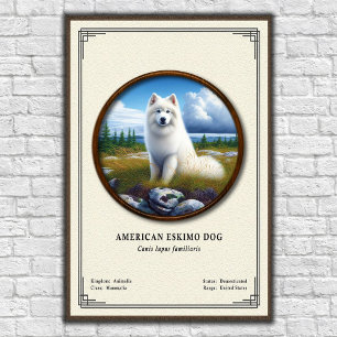 American Eskimo Dog Zoology Series Poster
