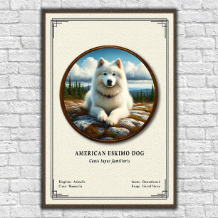 American Eskimo Dog Zoology Series Poster