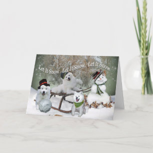 American Eskimo Let It Snow Let It Snow Holiday Card