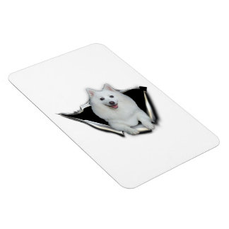 American Eskimo Lovers Magnet