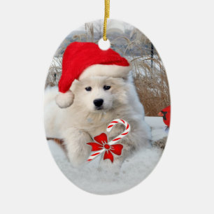 American Eskimo Merry Christmas Ornament