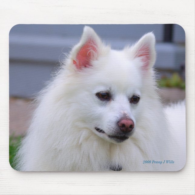 American Eskimo Mousepad (Front)