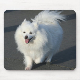 American Eskimo mousepad