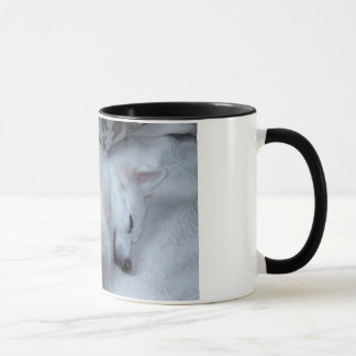 American Eskimo Mug