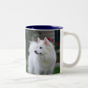 American Eskimo Mug