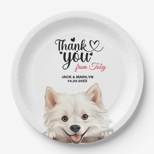 American Eskimo Paper Plate (Front)