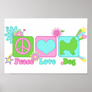 American Eskimo Poster