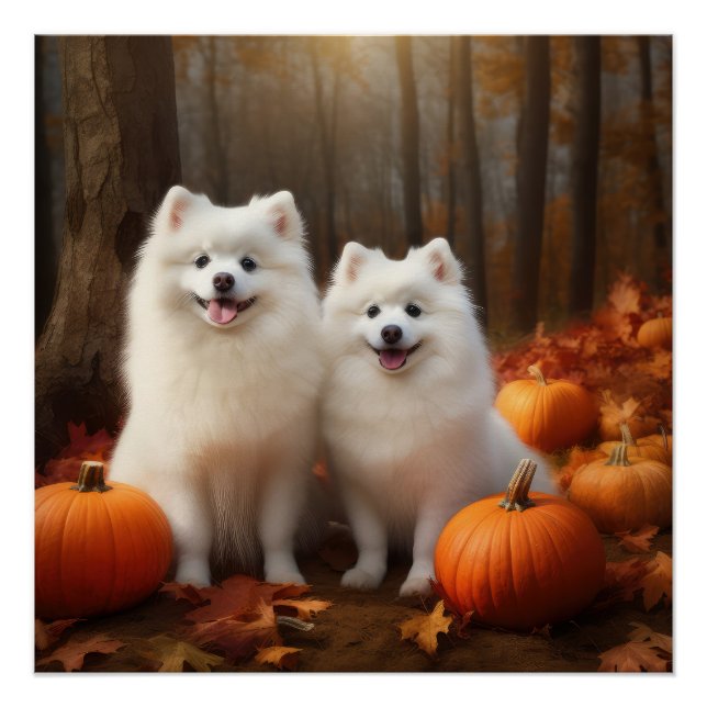 American Eskimo Puppy Autumn Delight Pumpkin Poster (Front)