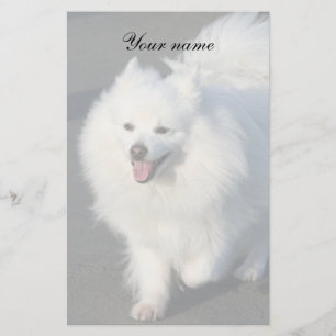American Eskimo stationary Stationery